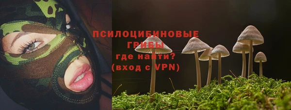 соль курить ск Абаза
