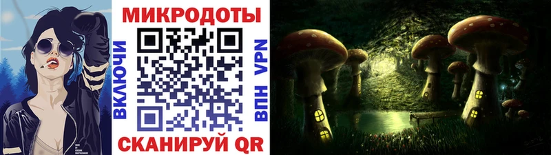 Галлюциногенные грибы Psilocybe купить наркотик Чишмы