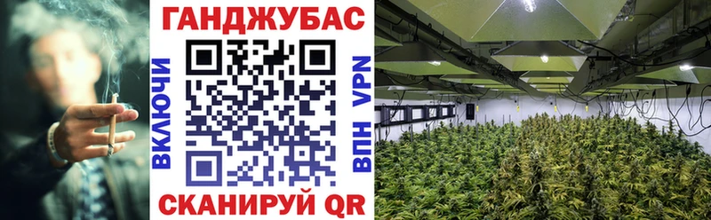 Бошки марихуана OG Kush  купить наркотики сайты  Чишмы 